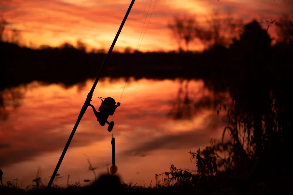 Top 5 Shimano Molens