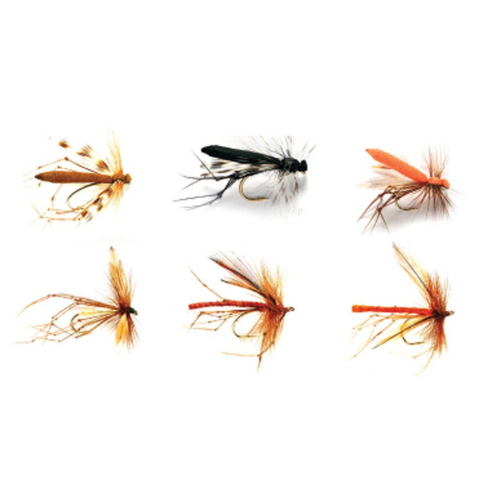 Drago 10000 12 Mosche Artificiali Per Pesca Alla Trota - Daddy Long Legs Standard E Goldhead, Taglia 10/12 Mosche Artificiali UK Dry Fly