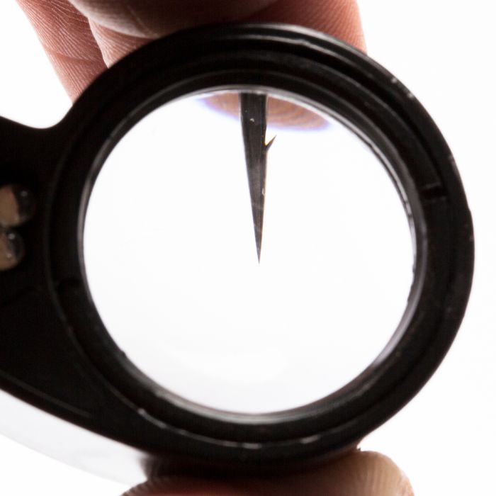 Nash Pinpoint LED Eye Glass Close Up