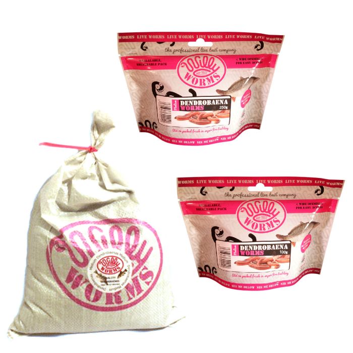 Willy Worms Medium Dendrobaenas