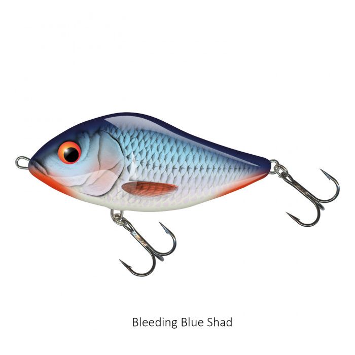 Bleeding Blue Shad