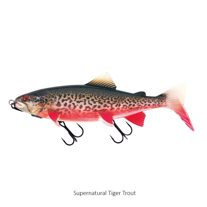 Super Natuurlijke Tijger Forel