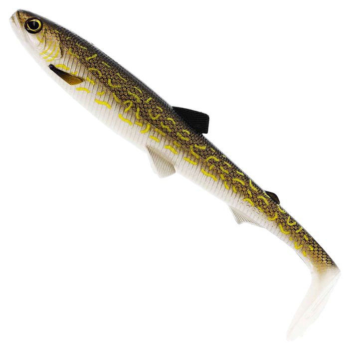 Natural&#x20;Pike