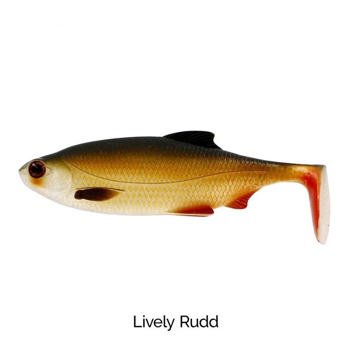 Lively Rudd