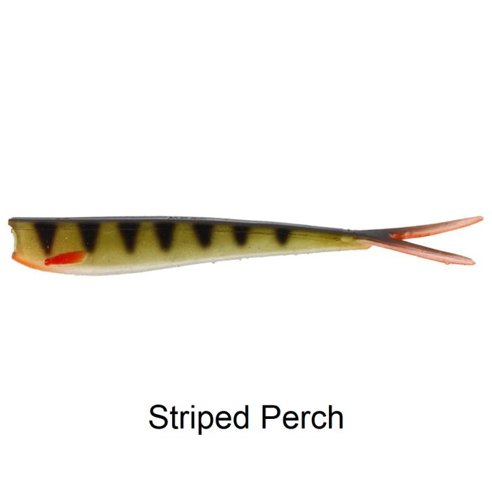 Striped Perch