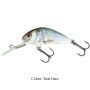Salmo Hornet 4cm Floating Lure Real Dace