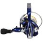 Daiwa Team Daiwa TDR Reel Back