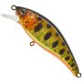 HL Gold Trout