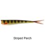 Striped Perch